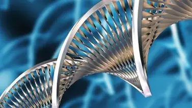 Puerto Rico mostrará su potencial en biotecnología Puerto Rico mostrará su potencial en biotecnología