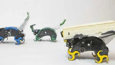 Las termitas inspiran a los robots del futuro