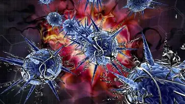Una niña de 3 años y su hermano de 7 mueren del virus H5N1 Una niña de 3 años y su hermano de 7 mueren del virus H5N1