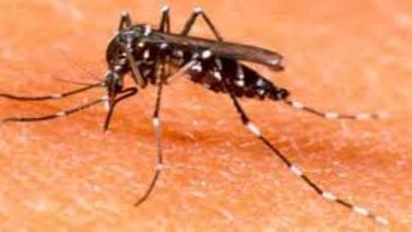 ¿Cuán difícil es diagnosticar una enfermedad tropical?