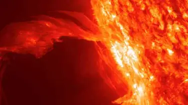 ¿Cuánto duraría la humanidad si el sol desapareciera? ¿Cuánto duraría la humanidad si el sol desapareciera?