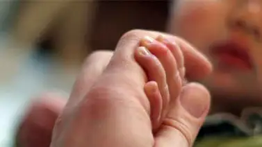 Propuesta de ciudadanos gana fuerza en reforma de la Lopnna Propuesta de ciudadanos gana fuerza en reforma de la Lopnna