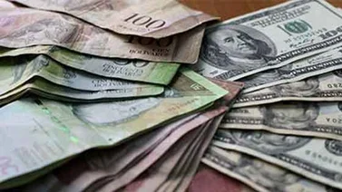 El cupo electrónico Cadivi se renueva automáticamente