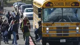 EEUU | Así te puedes convertir en un conductor de autobús escolar (+Salario)