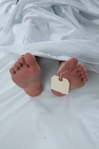 Sexagenario murió tras caer de la platabanda de su casa