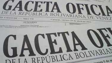 Designan nueva presidenta de Funvisis