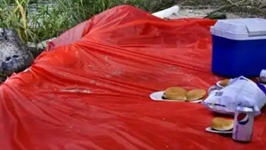 Invitado sorpresa en un Picnic de florida Invitado sorpresa en un Picnic de florida