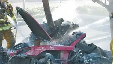 Intentan vender trozos del árbol quemado del accidente de Paul Walker Intentan vender trozos del árbol quemado del accidente de Paul Walker