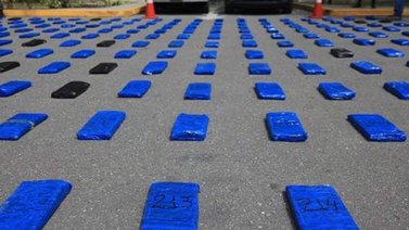 Incautan más de 41 kilos de marihuana en Anzoátegui