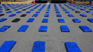 Incautan más de 41 kilos de marihuana en Anzoátegui