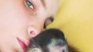 Ex de Belinda le regala pareja de monos capuchino