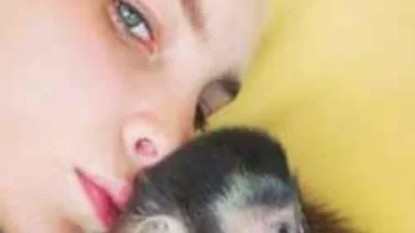 Ex de Belinda le regala pareja de monos capuchino