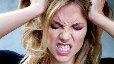 ¿Cuáles son las 7 emociones básicas que compartimos con la mayoría de los animales?