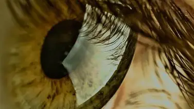 Científicos idean protector para celulares que protege la retina Científicos idean protector para celulares que protege la retina