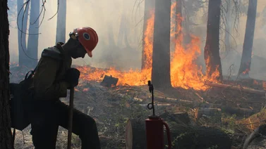 Incendio de California fue causado por cazador negligente, según autoridades