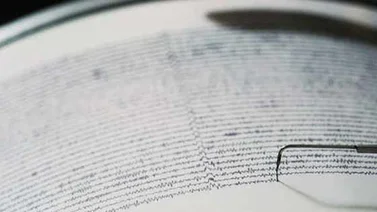 Un sismo de 6,9 grados golpea el este de Japón sin alerta de tsunami