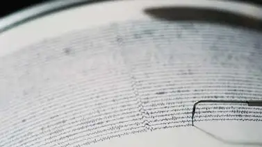 Un sismo de 6,9 grados golpea el este de Japón sin alerta de tsunami Un sismo de 6,9 grados golpea el este de Japón sin alerta de tsunami