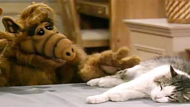 ¿Te acuerdas de ALF? Mira como están los personajes
