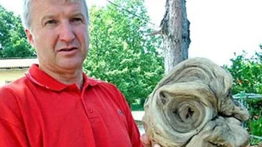 El alcalde de un pueblo croata desconcertado al desenterrar una "cabeza de extraterrestre"