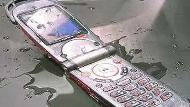 ¿Qué hacer si el celular cae al agua? ¿Qué hacer si el celular cae al agua?
