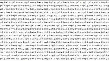 Más de 3 horas para pronunciar la palabra más larga del mundo Más de 3 horas para pronunciar la palabra más larga del mundo