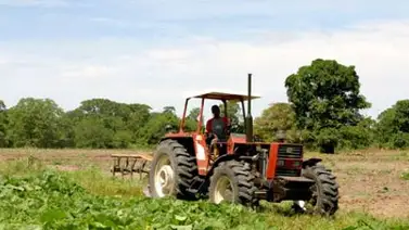 Aumentó a 5,9% la cartera de créditos agrícolas Aumentó a 5,9% la cartera de créditos agrícolas