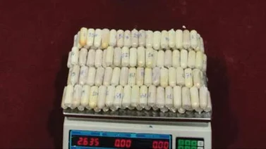 Capturan a narcomula con 100 dediles de cocaína en Táchira