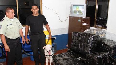 Retienen mercancía impregnada con droga en Maracaibo
