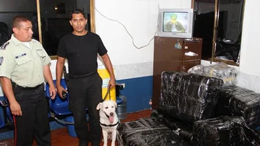 Retienen mercancía impregnada con droga en Maracaibo
