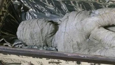 Un niño encontró una momia en la casa de su abuela
