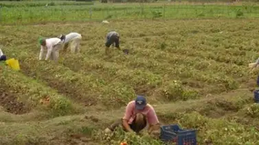 Estudian crear comisión para investigar sicariato de campesinos Estudian crear comisión para investigar sicariato de campesinos