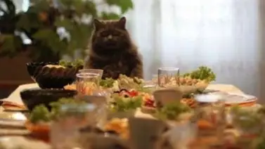 Fotos tomadas en el momento preciso Fotos tomadas en el momento preciso