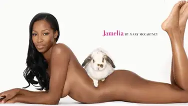 Utilizarán el porno para defender a los animales Utilizarán el porno para defender a los animales