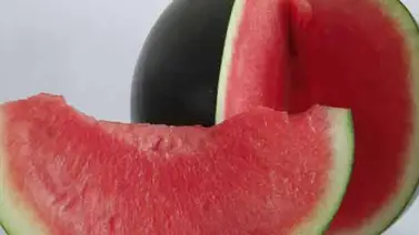 Vendida por 2.380 euros la primera sandía negra de la temporada Vendida por 2.380 euros la primera sandía negra de la temporada