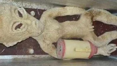 Encarcelan a un granjero chino por fabricar un alien de goma