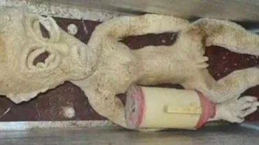 Encarcelan a un granjero chino por fabricar un alien de goma