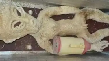 Encarcelan a un granjero chino por fabricar un alien de goma Encarcelan a un granjero chino por fabricar un alien de goma