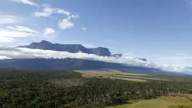 Venezuela entre los 10 primeros países con mayor biodiversidad del planeta Venezuela entre los 10 primeros países con mayor biodiversidad del planeta