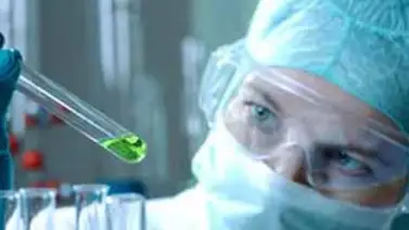 10 Claves de la clonación humana 10 Claves de la clonación humana