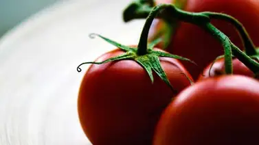 ¿Es verdad que el tomate es una fruta? ¿Es verdad que el tomate es una fruta?
