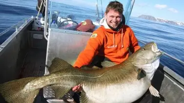 Este es el Bacalao más grande del mundo Este es el Bacalao más grande del mundo