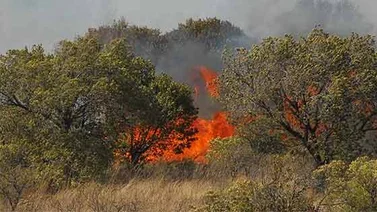 Reportados 25 incendios forestales en Lara durante actual época de sequía