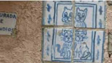 La casa de los gatos de más de siete vidas