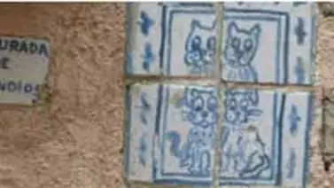 La casa de los gatos de más de siete vidas La casa de los gatos de más de siete vidas