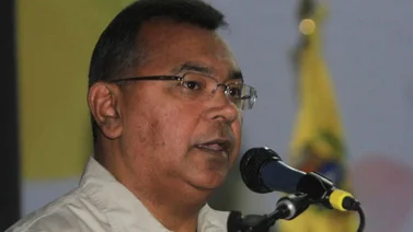 Reverol: "Carnavales 2013 transcurren con total normalidad"