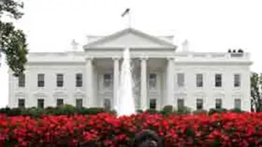 Bo, el perro de los Obama, comienza su "segundo mandato" Bo, el perro de los Obama, comienza su "segundo mandato"