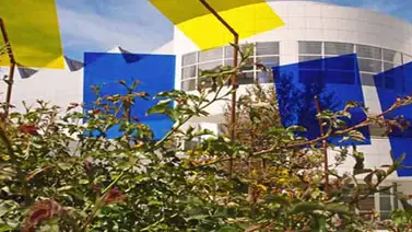 El restaurante fotosintético: un lugar donde las plantas son los comensales y la luz es gourmet El restaurante fotosintético: un lugar donde las plantas son los comensales y la luz es gourmet