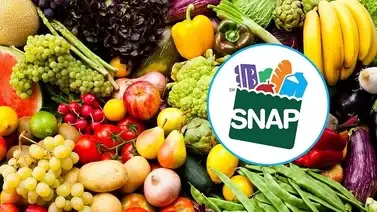 SNAP Florida: Beneficiarios que reciben pagos por hasta $1.756 esta semana SNAP Florida: Beneficiarios que reciben pagos por hasta $1.756 esta semana