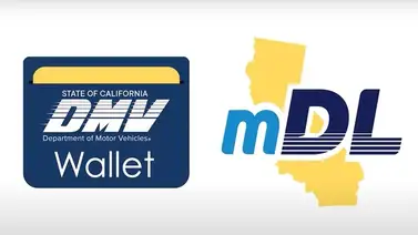 California | La nueva forma en la que residentes portarán su licencia de conducir California | La nueva forma en la que residentes portarán su licencia de conducir