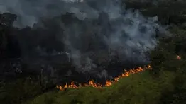 Autoridades de Brasil sospechan que incendios en la Amazonía son provocados